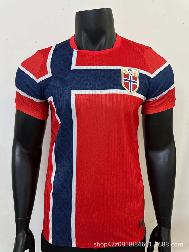 Maillot Domicile